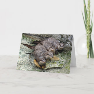 Otters 4 in a row Greeting Card