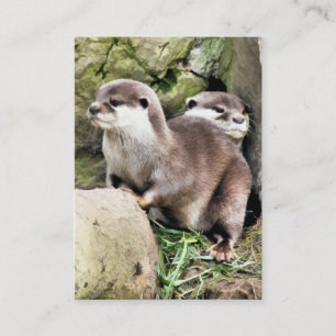 OTTERS BUSINESS CARD