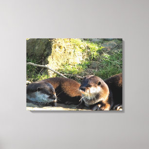 OTTERS CANVAS PRINT