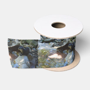Otters Drinking, Satin Ribbon