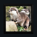 OTTERS GIFT BOX<br><div class="desc">A watercolor design of a pair of very cute little otters.</div>