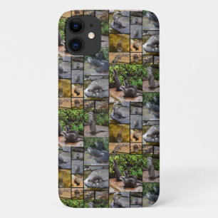Otters In A Photo Collage, iPhone 11 Case