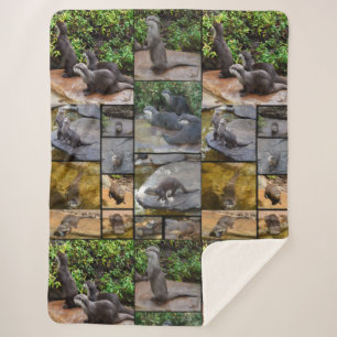 Otters In A Photo Collage, Sherpa Blanket