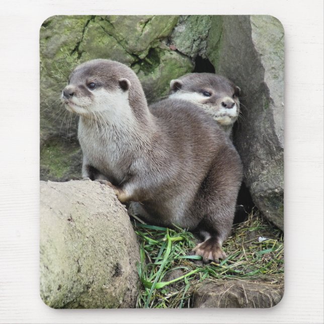 OTTERS MOUSE PAD (Front)