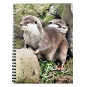 OTTERS NOTEBOOK