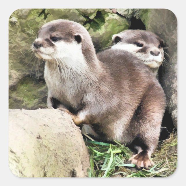 OTTERS SQUARE STICKER (Front)