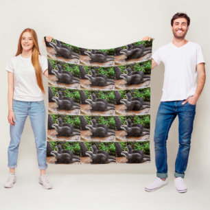 Otters That Are Ottely To Cute, Medium Fleece Blanket