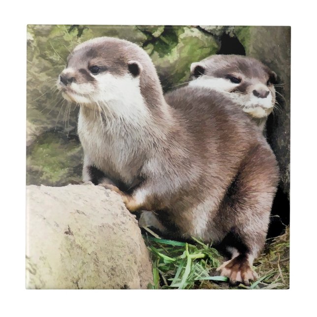 OTTERS TILE (Front)