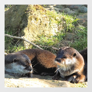 OTTERS WINDOW CLING
