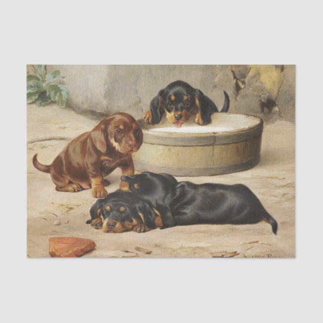 Otto Bache | Dachshund Puppies Tissue Paper (Front)