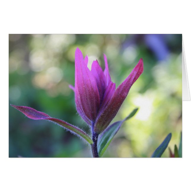 Où l'amour attend (Devant Horizontal)