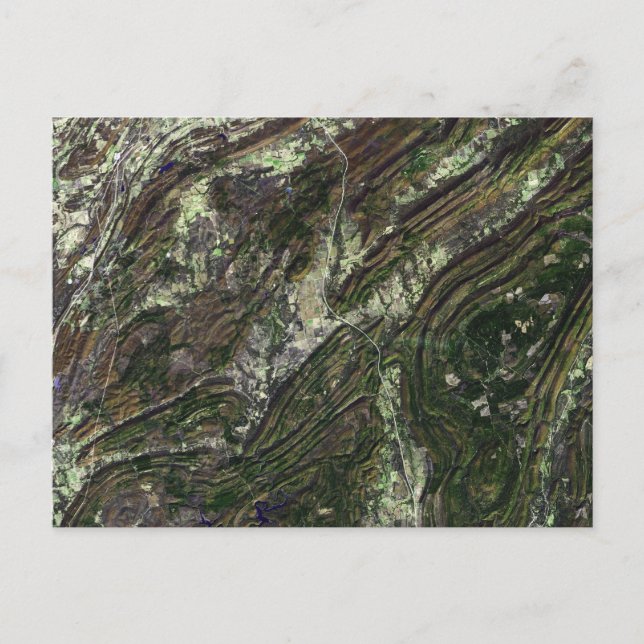 Ouachita Mountains Postcard (Front)