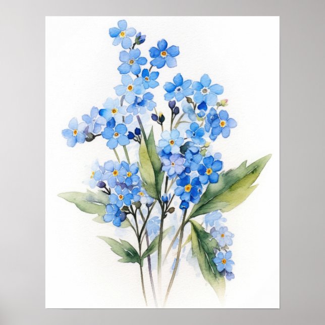 Oubliez-moi Nots Flower Art Imprimer Poster (Devant)