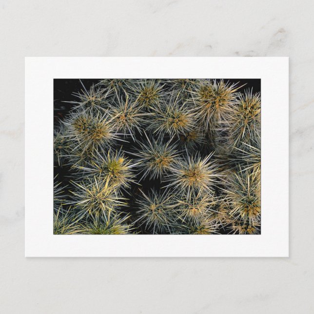 "Ouch Cluster" Postcard (Front)