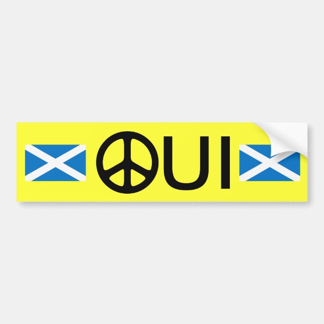 Oui aucun autocollant écossais de l'indépendance (Devant)