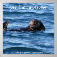 oui je suis une magnifique affiche de la loutre de