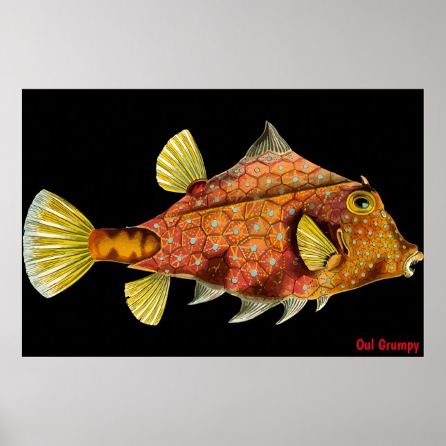 Oul Grumpy Poster (Front)