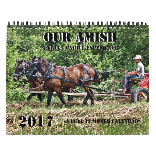 Our Amish Calendar (Cover)