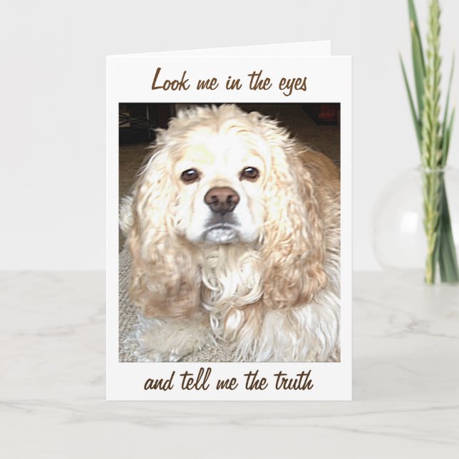 **OUR ANNIVERSARY** COCKER SPANIEL COMEDIAN CARD (Front)