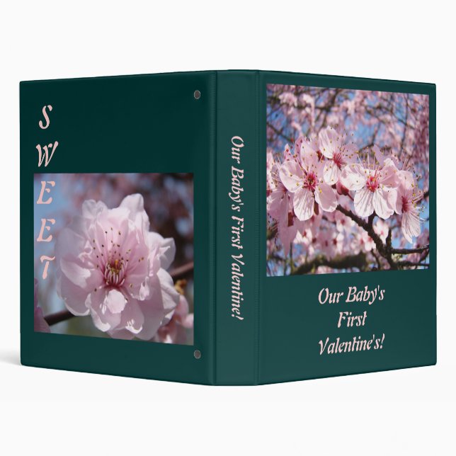 Our Baby's First Valentine's! Binder Pink Blossoms (Background)
