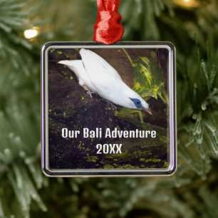 Our Bali Adventure 2026 Bali Myna Bird Art Metal Ornament