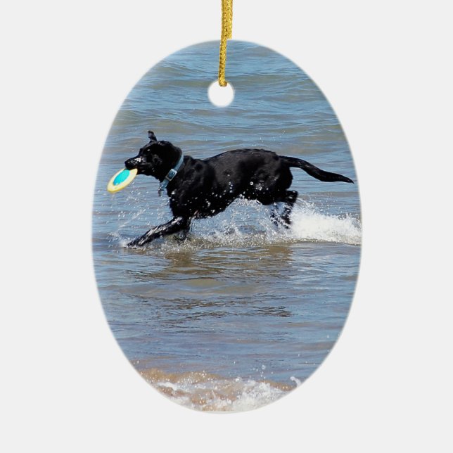 Our Black Labrador Retrieving Frisbee from Lake Ceramic Ornament (Front)