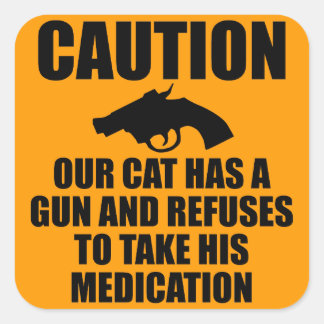 Our Cat Has a Gun Square Sticker