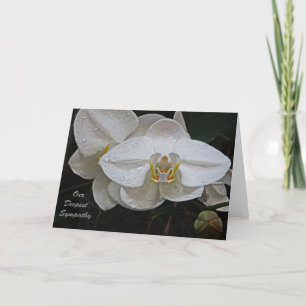 Our Deepest Sympathy Card