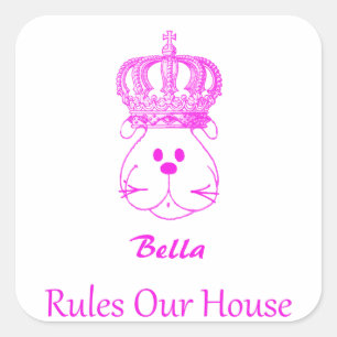Our Dog Rules Our House Square Sticker