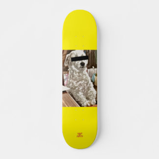 our dog skateboard