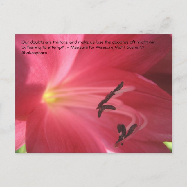 Our doubts are traitors, and make us ... postcard (Front)