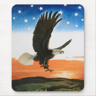 Our Emblem by Newell Convers Wyeth Mouse Pad