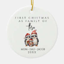 Our First Christmas as a family of 3 custom names