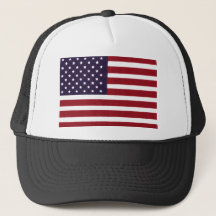 Our Flag MAIN PRINT.jpg