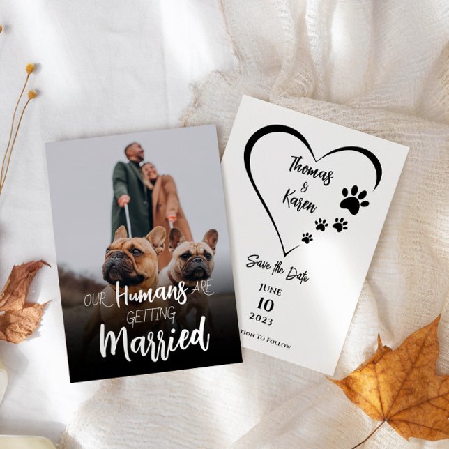Our Humans Getting Married Pet Dog Save The Date Invitation (Creator Uploaded)