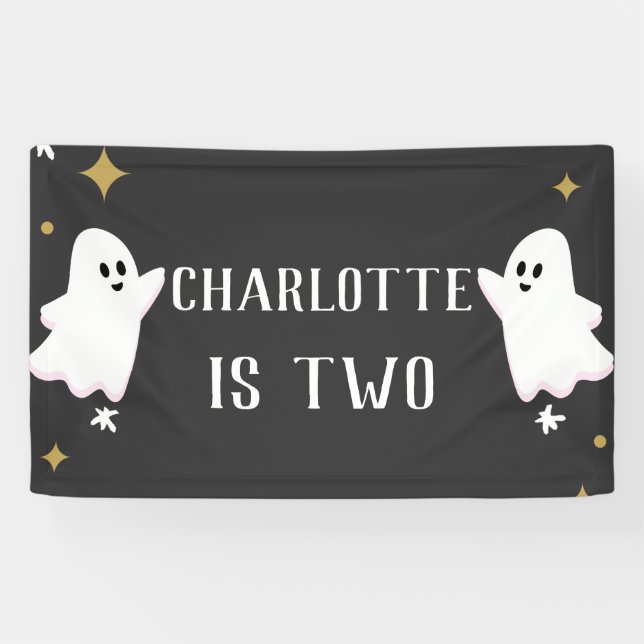 Our Little Boo is Turning Two Birthday Photo Banner (Horizontal)