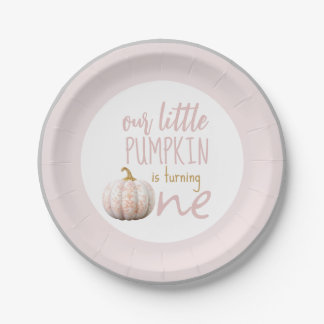 Our Little Pumpkin 1st Birthday Pink Border Paper Plate
