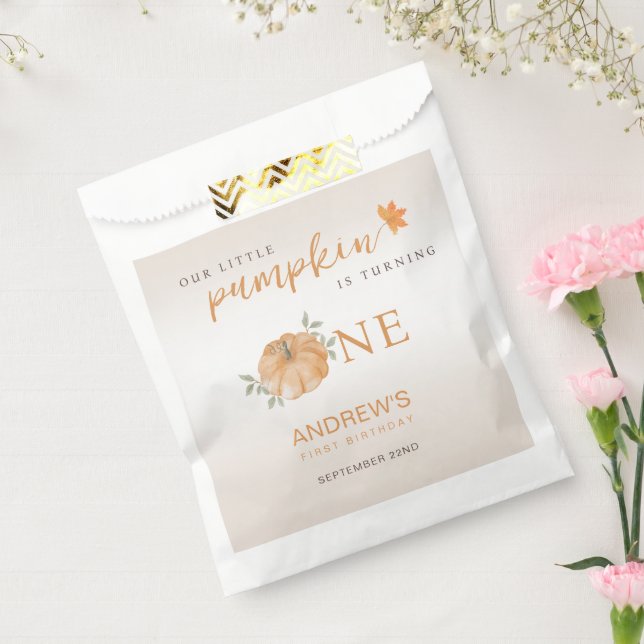 Our Little Pumpkin Autumn Fall First 1st Birthday Favour Bag (Sealed)