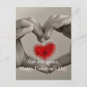 Our Love Grows Valentine's Day Postcard