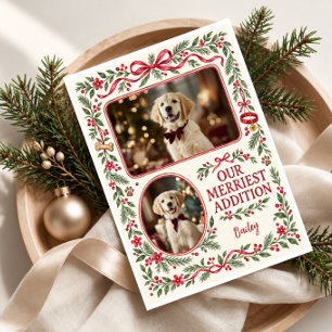 Our Merriest Addition Puppy Christmas Photo Holiday Card