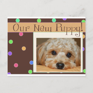 Our New Puppy - Customized Postcard