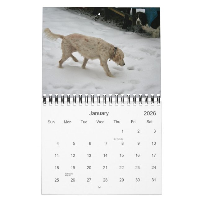 Our Pack Calendar 2012, Small (Jan 2026)
