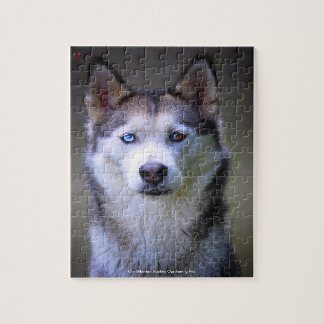 Our Siberian Huskey Our Family Pet Jigsaw Puzzle (Vertical)