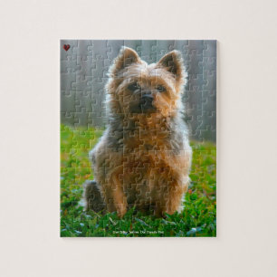 Our Silky Terrier Our Family Pet Jigsaw Puzzle