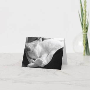 Our Sleeping Baby Card