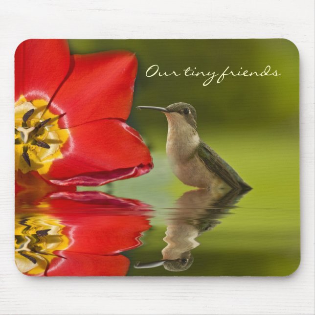 Our tiny friends. . . . mouse pad (Front)