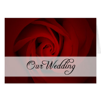 Our Wedding : Red Rose :