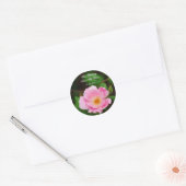 Our Wedding, save the date, pink rose Classic Round Sticker (Envelope)