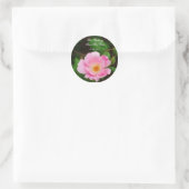 Our Wedding, save the date, pink rose Classic Round Sticker (Bag)