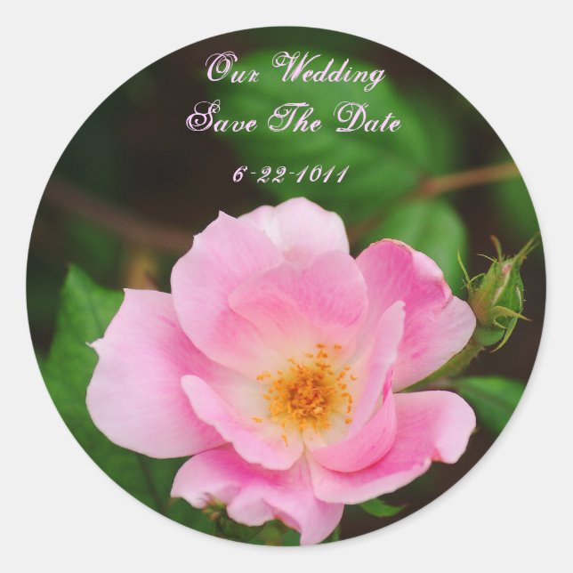 Our Wedding, save the date, pink rose Classic Round Sticker (Front)